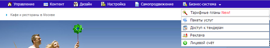 Вид раздела меню Бизнес-система